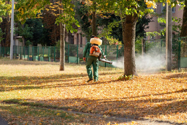 Best Spider Control Near Me  in Rensselaer, NY
