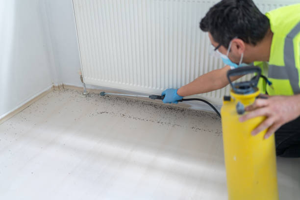 Best Best Pest Control Companies  in Rensselaer, NY